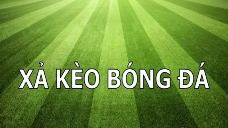  Xả kèo bóng đá tại Dabet